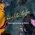 Purchase Night Life Mp3