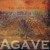 Purchase Agave Mp3