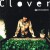 Buy Clover