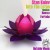Purchase Into The Lotus (CDS) Mp3