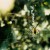 Buy Here At All (EP)