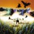 Purchase A Golden Field Of Radioactive Crows Mp3