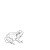 Buy Bull Frogs Croon (And Other Songs)