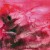 Buy Concretion