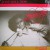 Purchase Loving You (Vinyl) Mp3