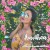 Buy Follow Me (Deluxe Hawaii Edition)