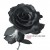 Purchase Rose Mp3