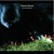 Purchase From The Green Hill Mp3