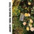 Purchase Giardino (Tape) (With Verde) Mp3