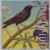 Purchase Starlings Mp3