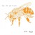 Purchase Lost Bees Mp3