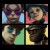 Buy Humanz (Deluxe Edition) CD1