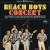 Buy Beach Boys Concert (Vinyl)