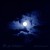 Buy Blue Moon
