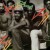 Purchase Kinsman Dazz (Remastered 2012) Mp3