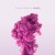 Buy Breath (EP)