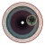 Purchase Assimilation Mp3