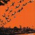 Purchase Coptic Light Mp3