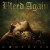 Purchase Momentum Mp3