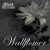 Purchase Wallflower (CDS) Mp3
