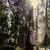 Purchase Circles And Spheres Mp3