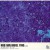 Purchase Almost Blue Mp3
