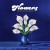 Buy Flowers