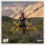 Buy Keri (EP)