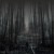 Purchase Forgotten Waltzes Of February Souls Mp3