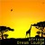 Purchase African Dream Lounge Mp3