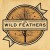 Purchase The Wild Feathers (EP) Mp3