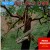 Purchase Out On A Limb Mp3