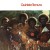 Purchase Quinteto Ternura (Vinyl) Mp3