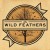 Purchase The Wild Feathers Mp3