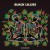 Purchase Black Lillies Mp3