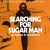 Buy Searching for Sugar Man