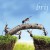 Purchase Brij Mp3