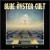 Buy Blue Oyster Cult 50th Anniversary Live - First Night 
