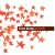Purchase Intastella Mp3