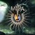 Purchase Enigma Mp3