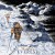 Purchase The Ascent Of Everest Mp3