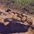 Purchase Sleepers (Remastered 2009) Mp3
