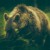 Buy Wildlife