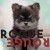 Purchase Rogue Rouge Mp3