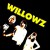 Purchase The Willowz Mp3