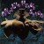 Purchase II Mp3