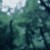 Buy The Ancient Forest II