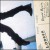 Purchase Lodger (Vinyl) Mp3