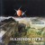 Purchase Zeitmaschine (Vinyl) Mp3