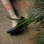 Purchase Plowing Into The Field Of Love Mp3